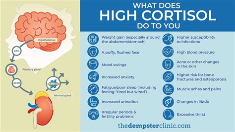 How High Cortisol Levels Can Affect Your Emotional Health